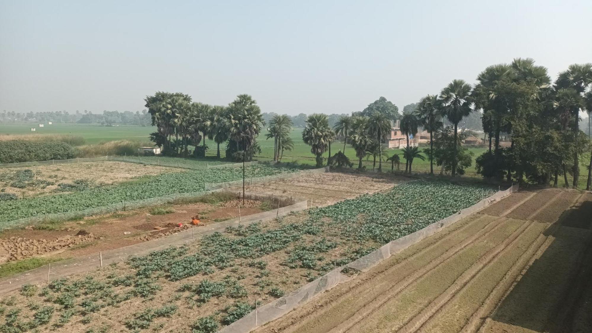 Sujata Buddha Homestay